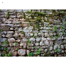 5x3ft Fabric Vintage Brick Stone Wall Backdrop for Photography - Overgrown An...