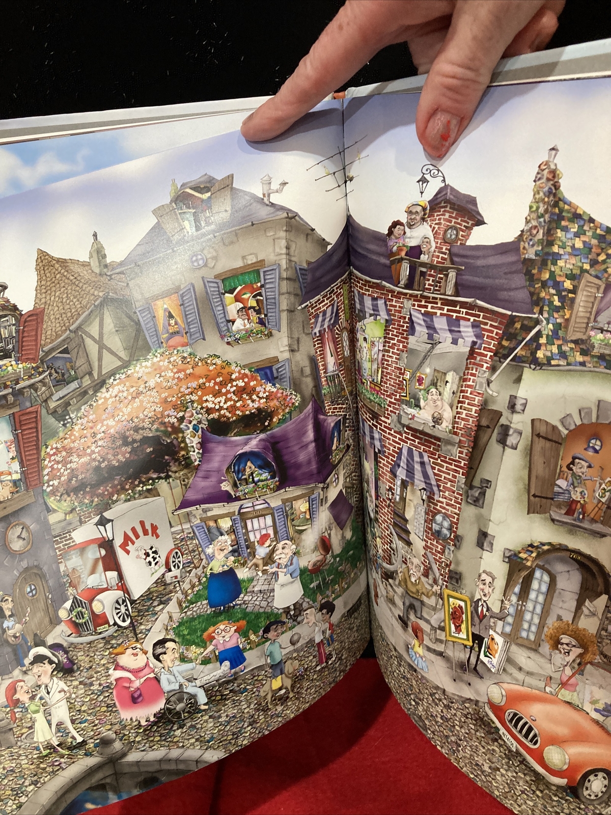 The Flower Man A Wordless Picture Book by Mark Ludy (2014, Hardcover