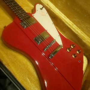 epiphone firebird hard case