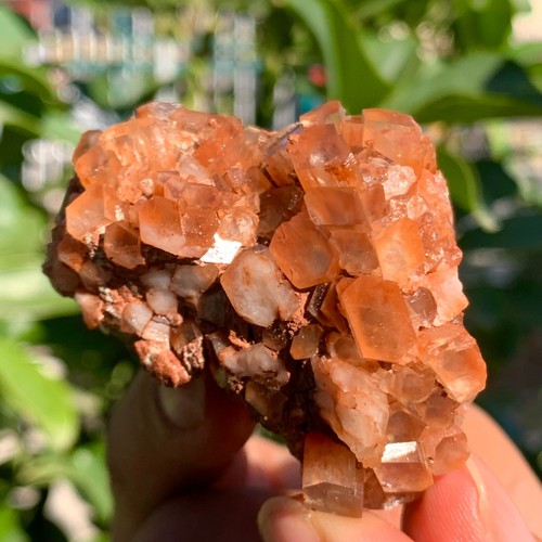 108G Aragonite Star Cluster from Morocco - natural crystal healing gemstone - Picture 4 of 16