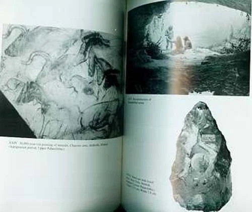 Stone Age Civilizations Neolithic Paleolithic Cultures Religion Cave Art Writing - Picture 2 of 4