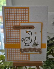 Stampin UP CARD KIT - DUCK ESPECIALLY FOR YOU Makes 4 - Set 26.236