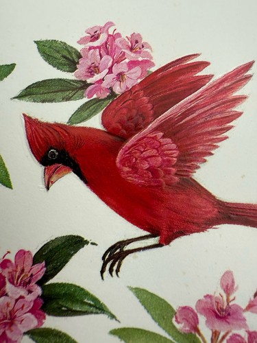 Winged Beauties BIRDS Exquisite Watercolors Vintage Sunshine Greeting Cards - Picture 18 of 22