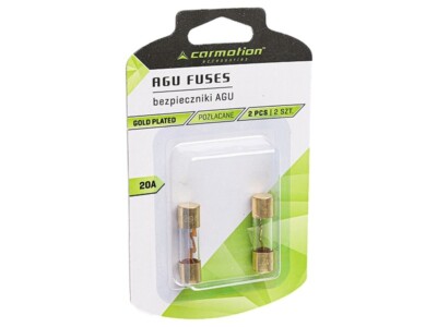 AGU Sicherung 2 Stück  20A Gold Überzogen Auto Power Schutz Linie Glas Tube 