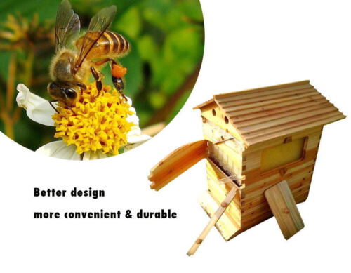 7PCS Upgraded Beekeeping Tool Hive Frames + Beehive Wooden Brood Box