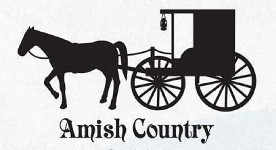 Amish Horse And Buggy Clip Art