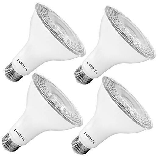  4 Pack LED PAR30 Flood Light Bulb, 75W Equivalent, 5000K 5000K (Bright White)