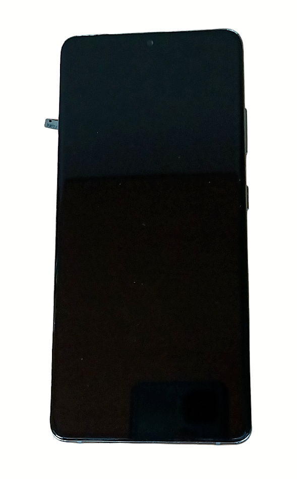 Samsung Galaxy S21 Ultra G998 LCD Touch Screen Silver Frame