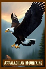 Appalachiain Mountains American Bald Eagle Mountains  Art 16 x 24 Travel Poster