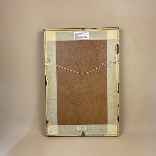 Esche mosche da pesca con cornice espositore vintage barca antica arte da parete x21 pezzi - Foto 10 di 12