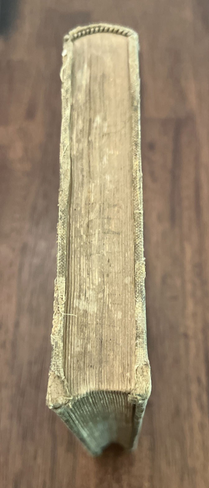 Picture 5 of 19