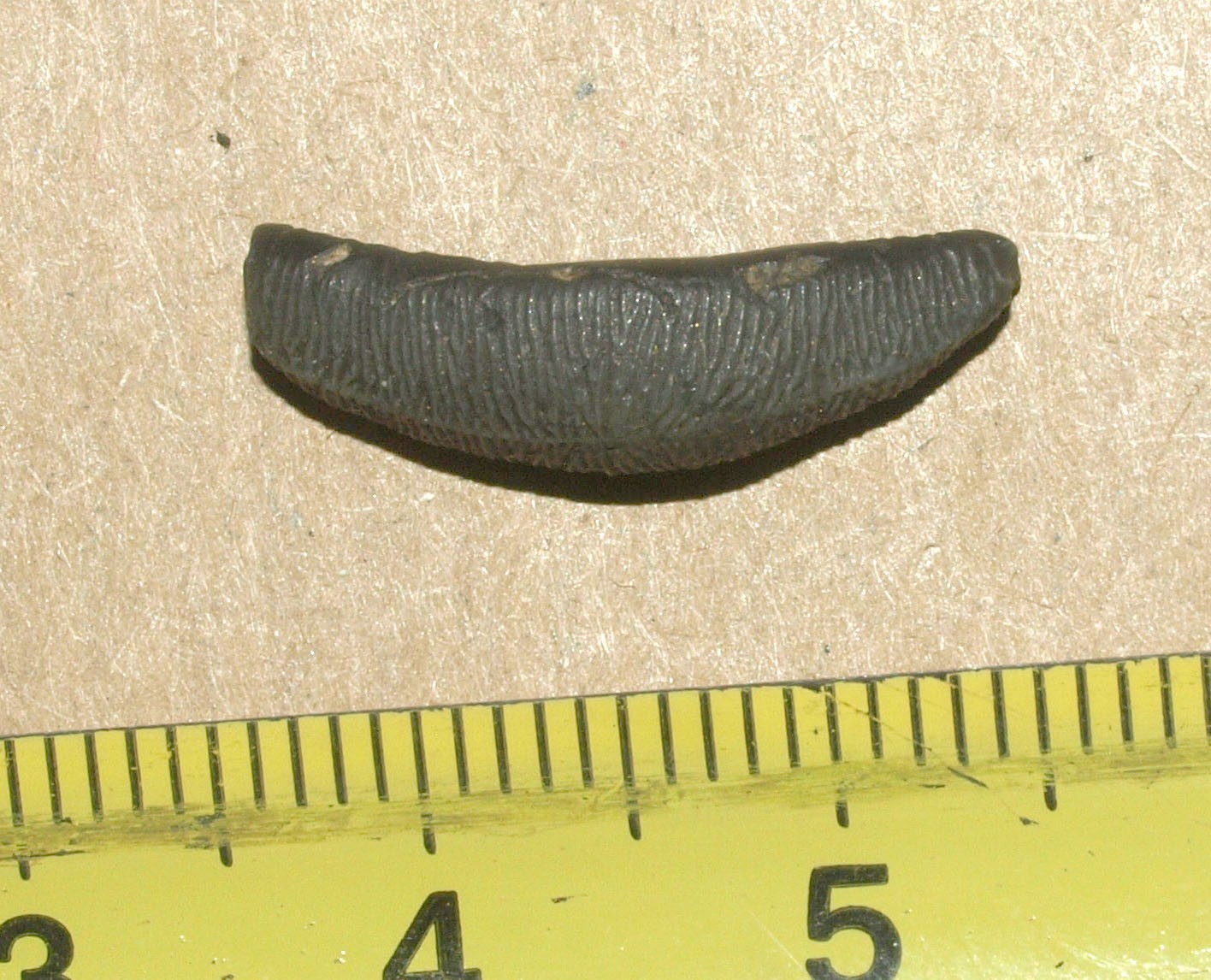 Picture 3 of 18