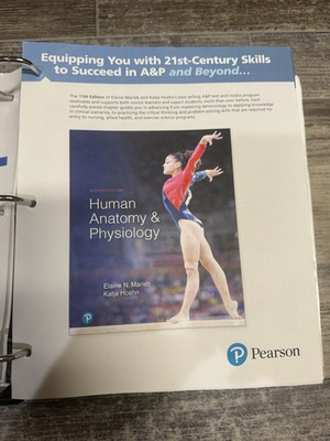 #ad Human Anatomy and Physiology 11th Edition by Elaine N. Marieb and Katja Hoehn $63.00