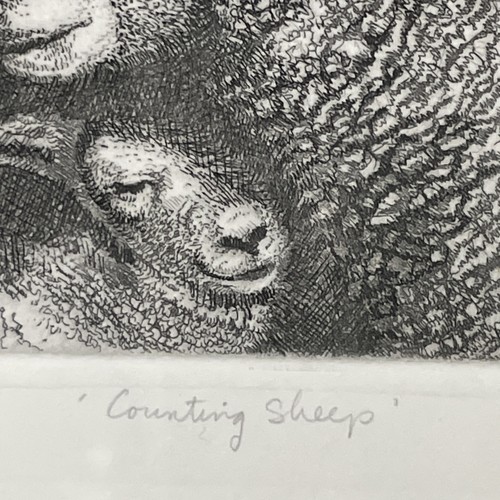 Artist Proof R.H. Bodean Radierung " Counting Sheep" signiert gerahmt - Bild 4 von 8