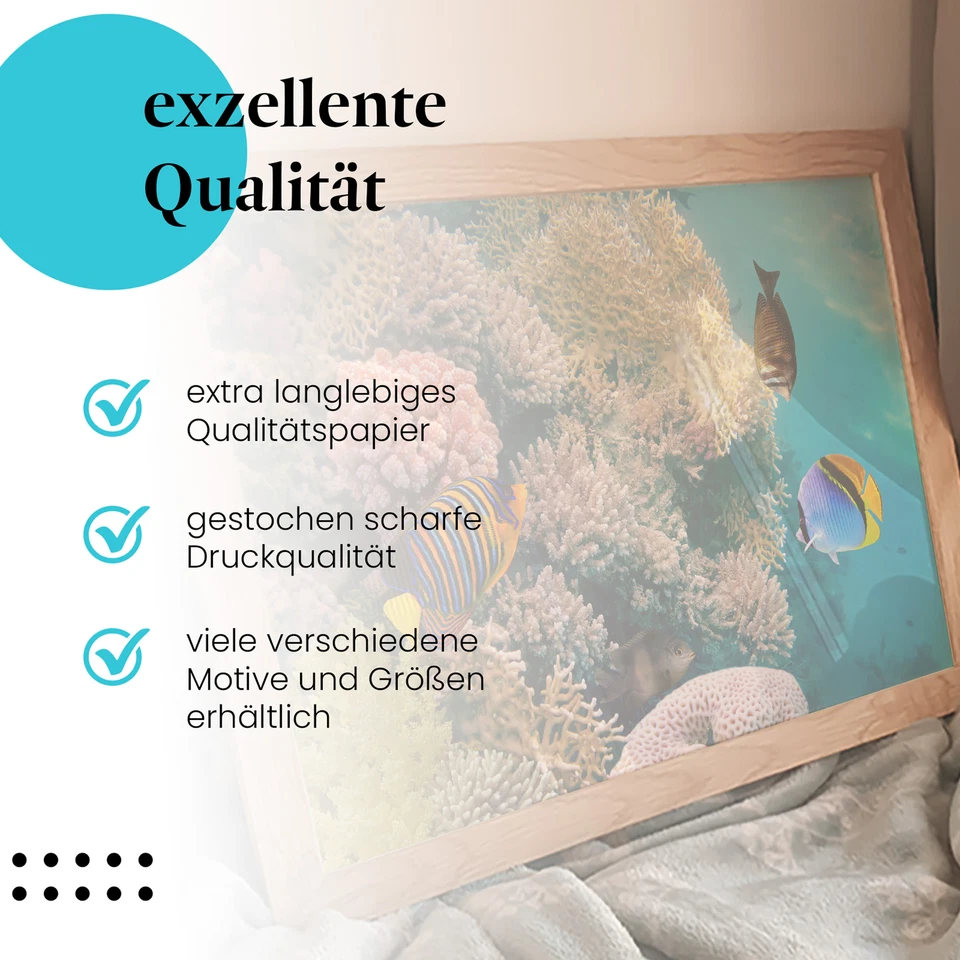 Postereck 0772 Poster Leinwand Korallenriff, Tauchen Fische Meer Natur Wasser - Bild 2 von 4