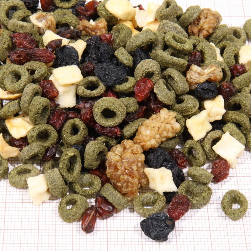 JBL PROTERRA FRUCTIL- Hauptfutter für alle Landschildkröten mit Früchten 250 ml - Bild 2 von 4