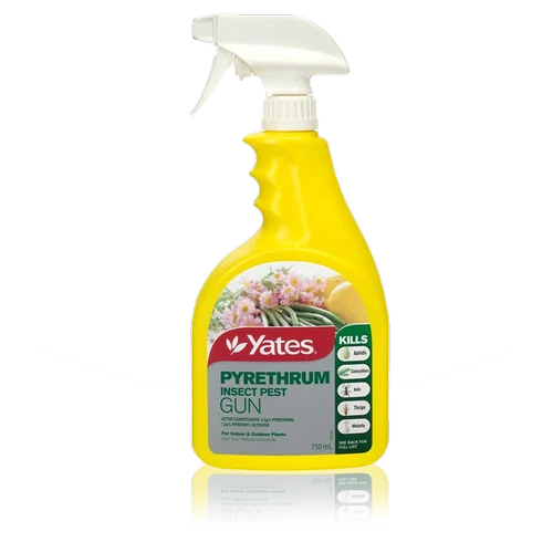 Pyrethrum spray on sale