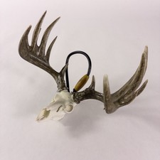 Big Rack Whitetail Skull Figurine Mirror Hanger Antler Car Truck Decor