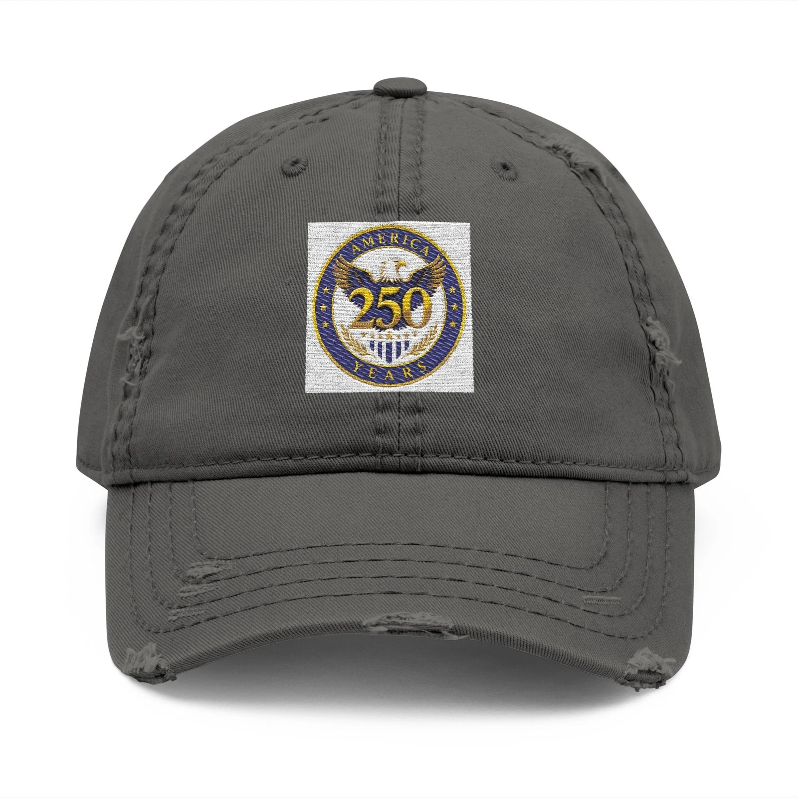 250th Anniversary Logo Dad Hat | Distressed Embroidered Cap
Opens in a new window or tab