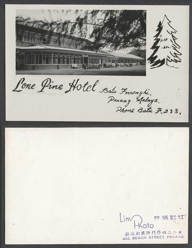 Penang Old Real Photo Postcard Lone Pine Hotel Batu Ferrenghi Malaya, Deckchairs - Picture 1 of 1