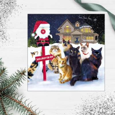 TOMCAT CARDS 'This Way Santa' Humorous Funny Cat Christmas Greeting Card by Denise Laurent