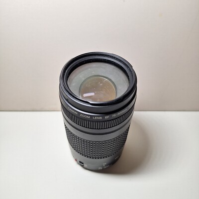 キヤノン EF 75-300/4-5.6 II USM Used Canon EF 75-300mm f/4-5.6 II USM | MPB