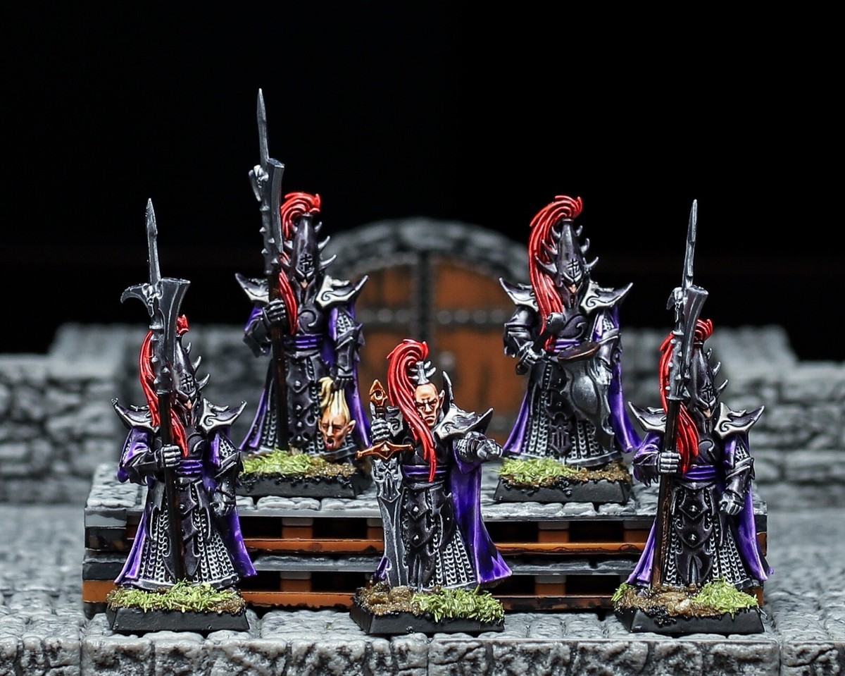Warhammer Dark Elves ミニチュアセット Warhammer Dark Elves ミニチュアセット Dark Elves Pro Painted