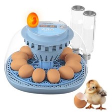 12 Egg Incubator with Automatic Egg Turning and Humidity Control   Egg US