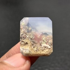 Scenic Moss Agate Cabochon 20x17x4.5mm High Quality 18 ct