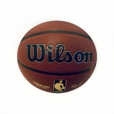 Wilson NBA Basketball Trophy Series And Evolution Size 7 Official Game Ball NEW