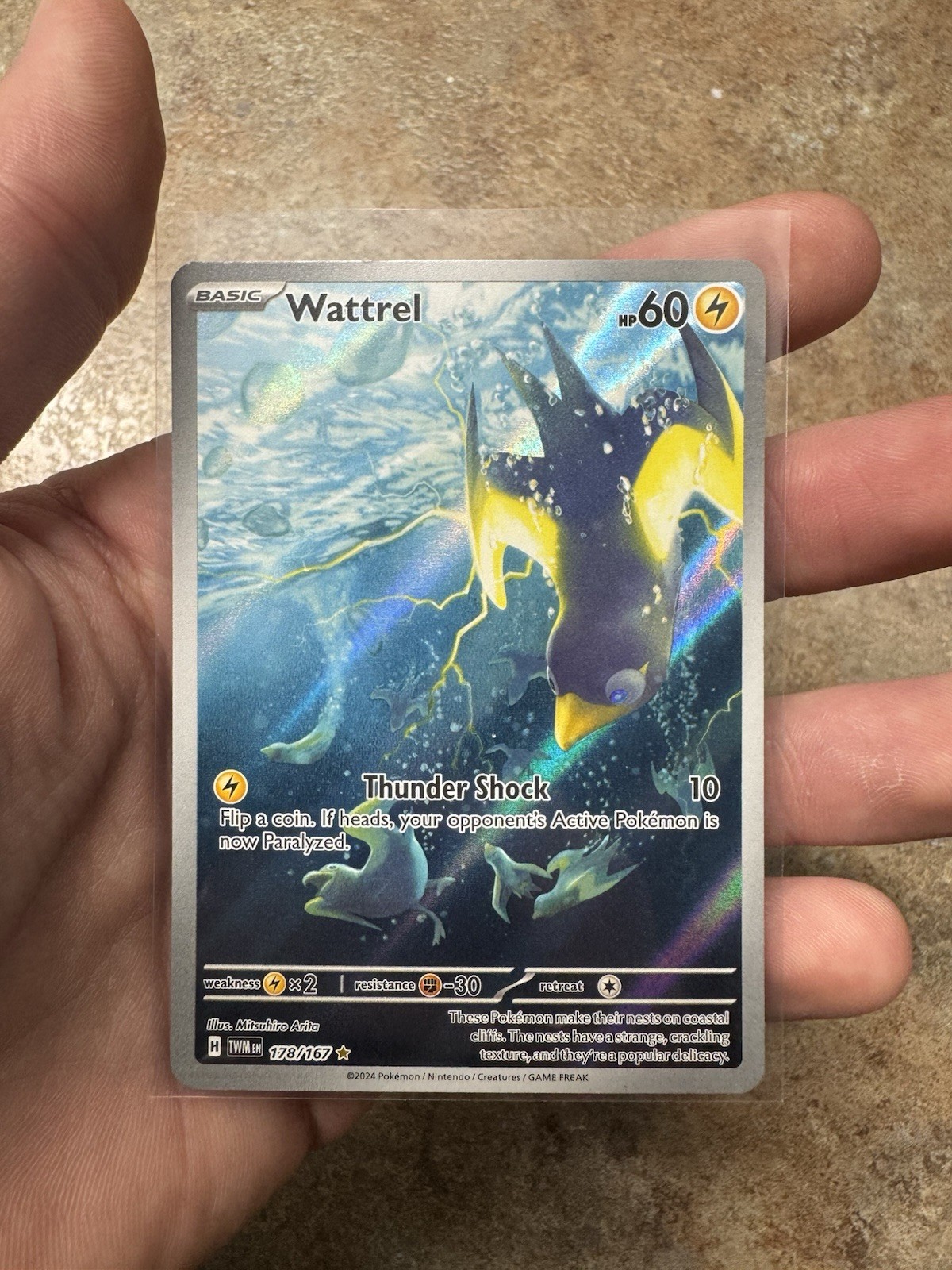 Pokemon TCG- Wattrel - 178/167 - Twilight Masquerade - Illustration Rare - NM