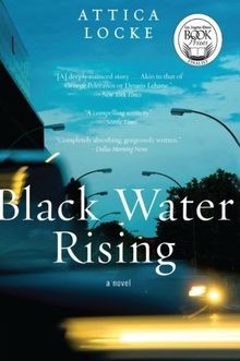 Black Water Rising: A Novel: A Gripping 1980s Legal... | Buch | Zustand sehr gut