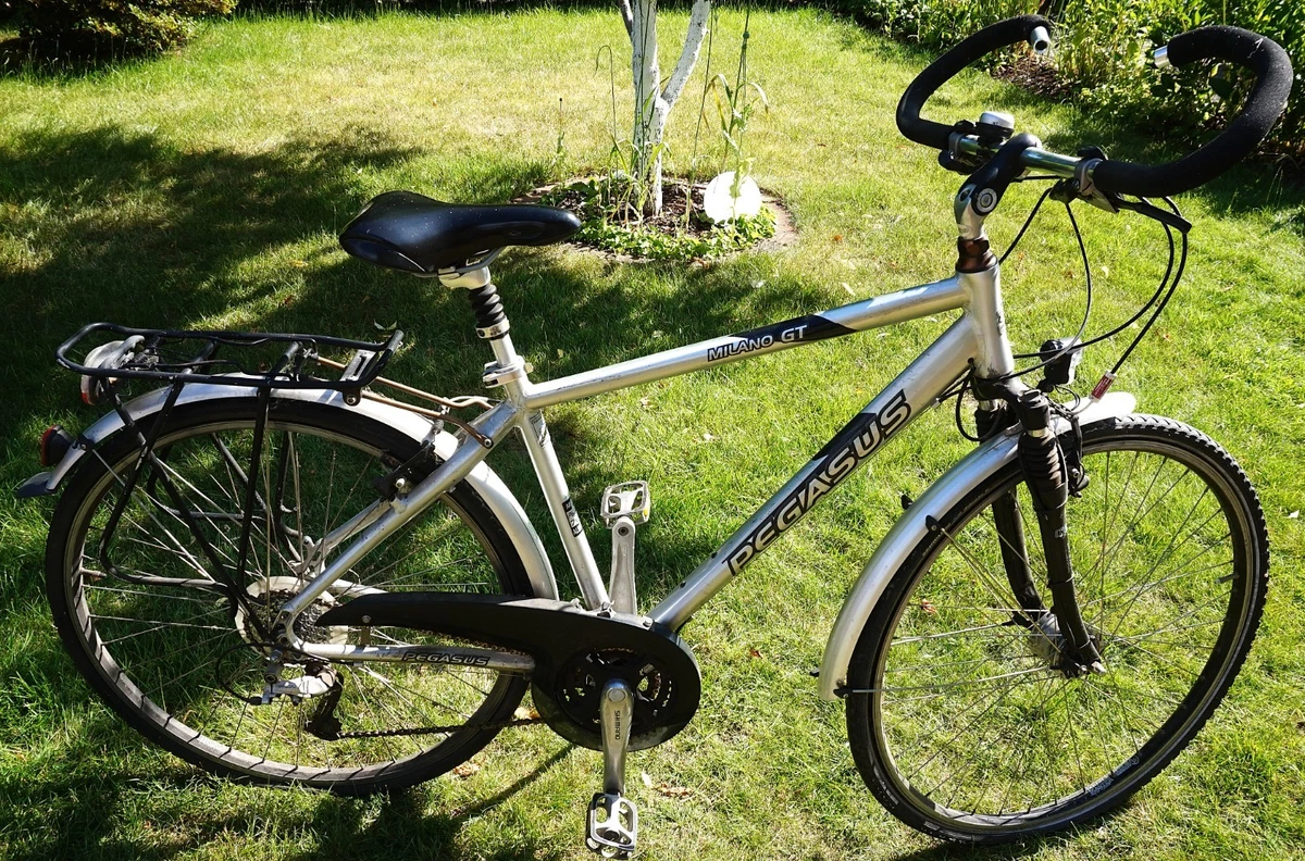 Pegasus Milano online kaufen | eBay.de