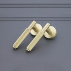 Afbeelding 51 van 52
