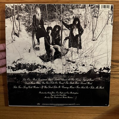 Long Cold Winter by Cinderella (Vinyl, Mercury) 42283461215