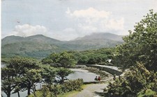 ?? BARMOUTH. ARTHOG. (#bar)