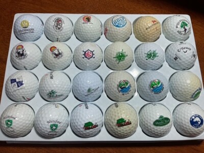 MICHIGAN W2 GOLF COURSE: LOGO BALLS