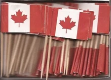 One Box of 100 Canada Toothpick Flags, 100 Small Mini International Flags