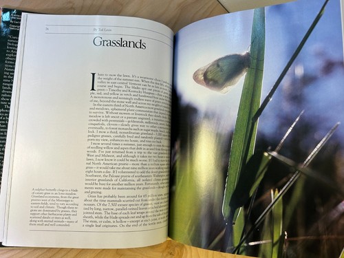 National Geographic The Curious Naturalist by Diane Ackerman (1991) - Picture 7 of 8