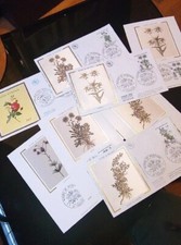 Fleurs Lot 4 cartes postales 4 enveloppes 1er jour first day cover 1983 et 1967