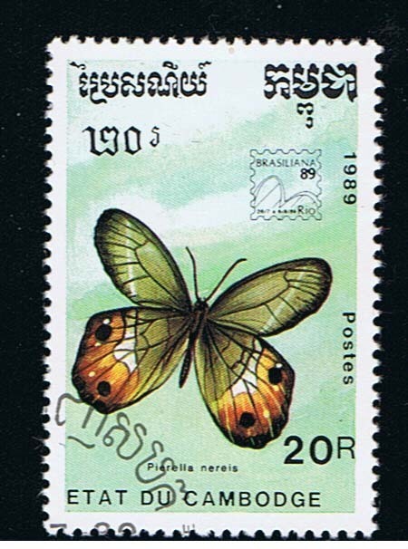 Foto 1 di 1