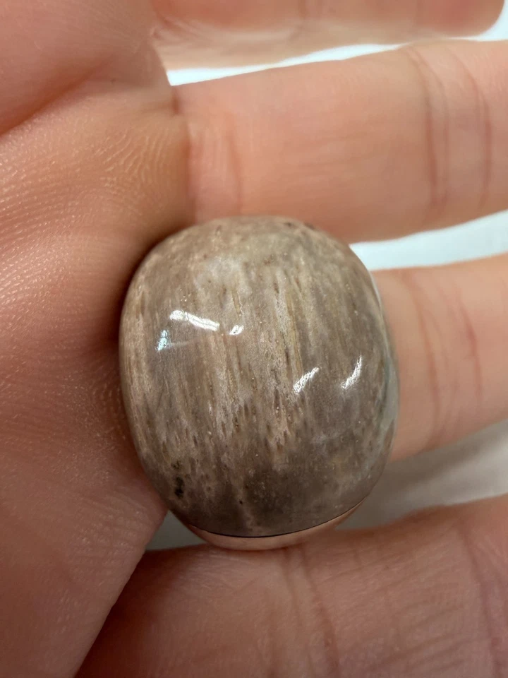 Anillo Calvin Klein Talla 6 Plata de Ley Modernista Cúpula Neutra Piedra Pulida Foto 2 de 4