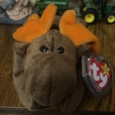 Ret 1993 TY Beanie Baby Chocolate the Moose RARE, 1 Of The Orig 9 No Logo Errors