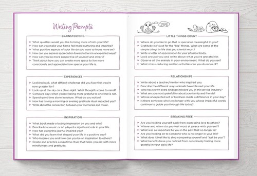 InnerGuide Planners Gratitude Journal w/Writing & Vision Board Prompts ... NEW - Picture 6 of 8