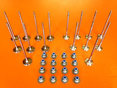 09-11 FITS CHEVY AVEO PONTIAC G3 1.6L DOHC INTAKE EXHAUST VALVES  + VALVE SEALS