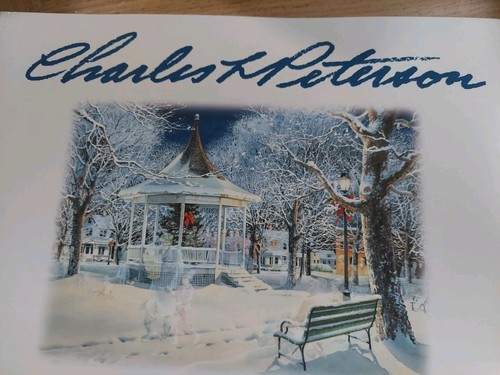 CHARLES PETERSON "Reflections" SIGNED Print Soft Cover Book 1st Edition - Picture 2 of 10
