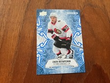2024-25 Upper Deck ICE - Rookies Zack Ostapchuk #134 (RC)