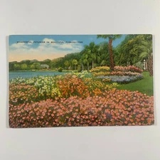 Postcard Florida FL Petunias Flower Bloom 1940s Linen Unposted