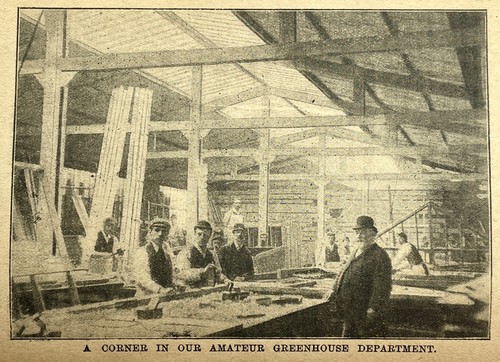 SCARCE VICTORIAN GARDENERS & POULTRY KEEPRS ILLUSTRATED ANTIQUE CATALOG - Picture 14 of 24