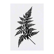 'Fern Leaf' Temporary Tattoos / Transfers TO00043894 